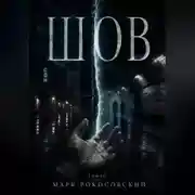 Постер книги Шов