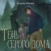 Постер книги Тень серого дома