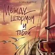Постер книги Между штормом и тобой