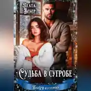 Постер книги Судьба в сугробе
