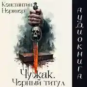 Постер книги Чужак.Черный Титул