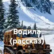 Постер книги Водила (рассказ)