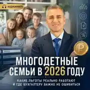 Постер книги Многодетные семьи в 2026 году: какие льготы реально работают и где бухгалтеру важно не ошибиться
