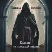 Постер книги Колдун из прошлой жизни