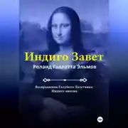 Постер книги Индиго Завет