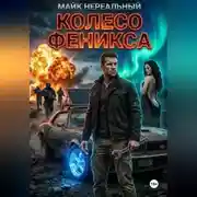 Постер книги Колесо феникса
