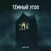 Постер книги Темный угол