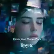 Постер книги Бруно