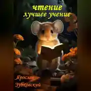 Постер книги Чтение лучшее учение