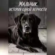 Постер книги Мальчик. История одной верности