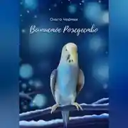 Постер книги Волнистое Рождество