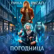 Постер книги «Погодница»