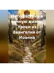 Николай Смирнов - Путешествие в вечную жизнь: Уроки из Евангелия от Иоанна