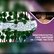 Постер книги Биосурфактанты, что это за «ЗВЕРЬ»?