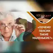 Постер книги «Почему пенсии такие маленькие?»