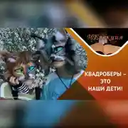 Постер книги Почему ваш ребенок хочет стать котиком?