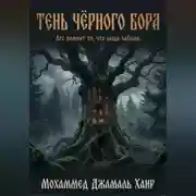 Постер книги Тень Чёрного Бора