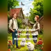 Постер книги Курьезные истории из жизни одной семьи