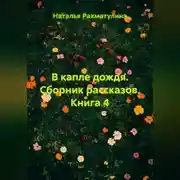 Постер книги В капле дождя. Сборник рассказов. Книга 4
