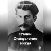 Постер книги Сталин. Становление вождя