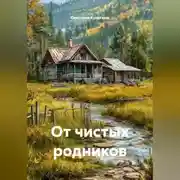 Постер книги От чистых родников