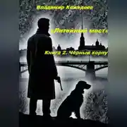 Постер книги «Литейный мост». Книга 2. Чёрный корпус.