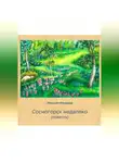 Максим Макаров - Сосногорск недалеко
