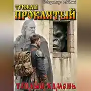 Постер книги Теплый камень