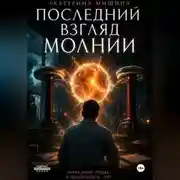 Постер книги Последний взгляд молнии