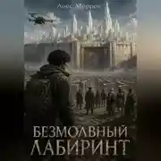 Постер книги Безмолвный лабиринт