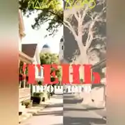 Постер книги Тень прошлого