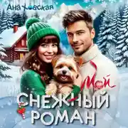 Постер книги Мой снежный роман