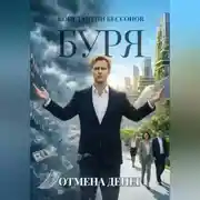 Постер книги Буря. Отмена денег