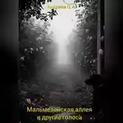 Постер книги Мальмезонская аллея и другие голоса