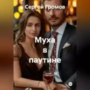 Постер книги Муха в паутине