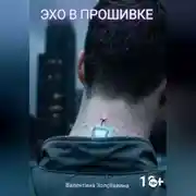 Постер книги Эхо в прошивке
