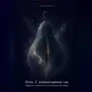 Постер книги Поле. С комментариями сна
