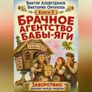 Постер книги Брачное агентство Бабы-Яги