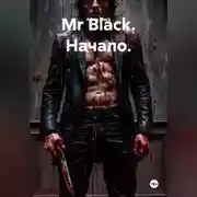 Постер книги Mr Black. Начало.