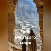 Постер книги Тени Мертвого моря