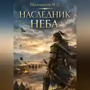 Постер книги Наследник неба