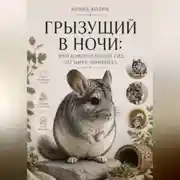Постер книги Грызущий в ночи: фундаментальный гид по миру шиншилл