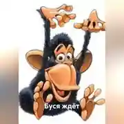 Постер книги Буся ждёт