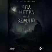 Постер книги Два метра под землю