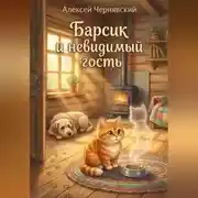 Постер книги Барсик и невидимый гость