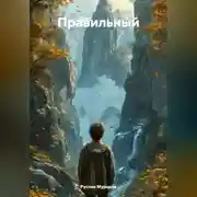 Постер книги Правильный