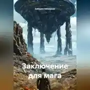 Постер книги Заключение для мага