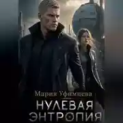 Постер книги Нулевая энтропия
