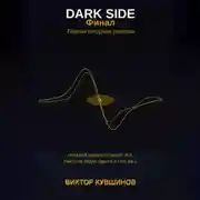 Постер книги DARK SIDE Финал