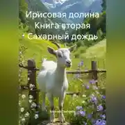 Постер книги Ирисовая долина Книга вторая Сахарный дождь